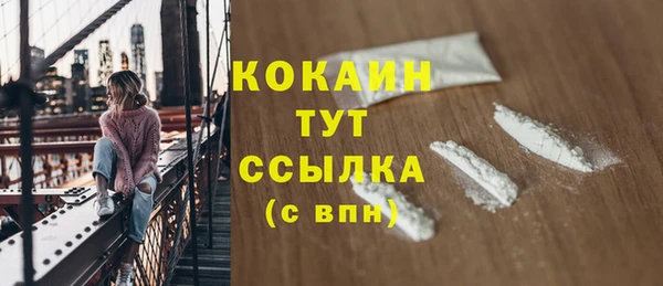 прущие грибы Коряжма