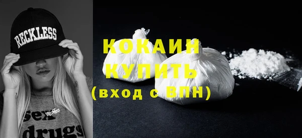 прущие грибы Коряжма