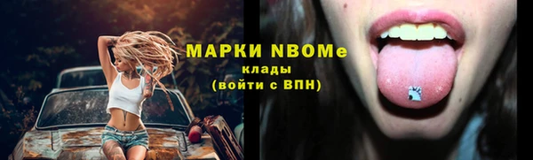 прущие грибы Коряжма