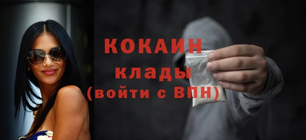 твердый Козловка