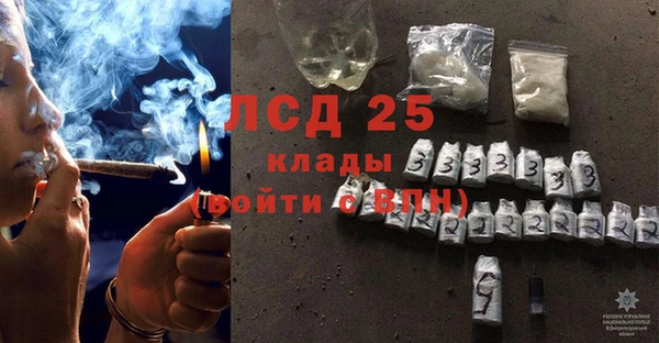 ПСИЛОЦИБИНОВЫЕ ГРИБЫ Козельск