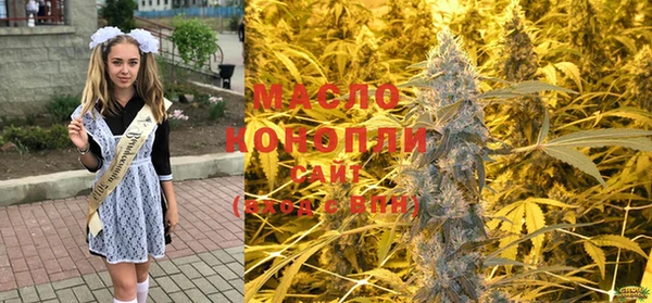 прущие грибы Коряжма