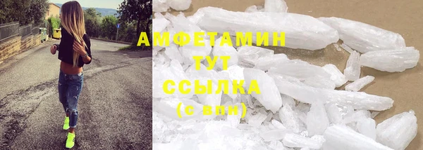 прущие грибы Коряжма