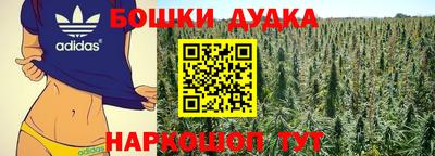индика Ливны