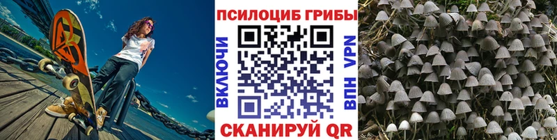 купить наркоту  сайты даркнета какой сайт  Псилоцибиновые грибы MAGIC MUSHROOMS  Краснокамск 