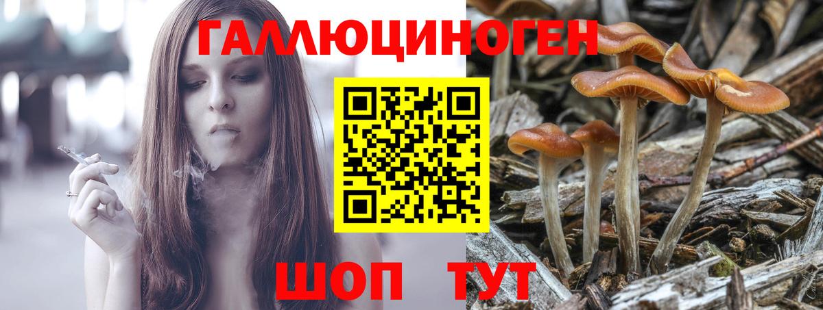Краснокамск  Галлюциногенные грибы MAGIC MUSHROOMS  Псилоцибиновые грибы мицелий  Вход с VPN 