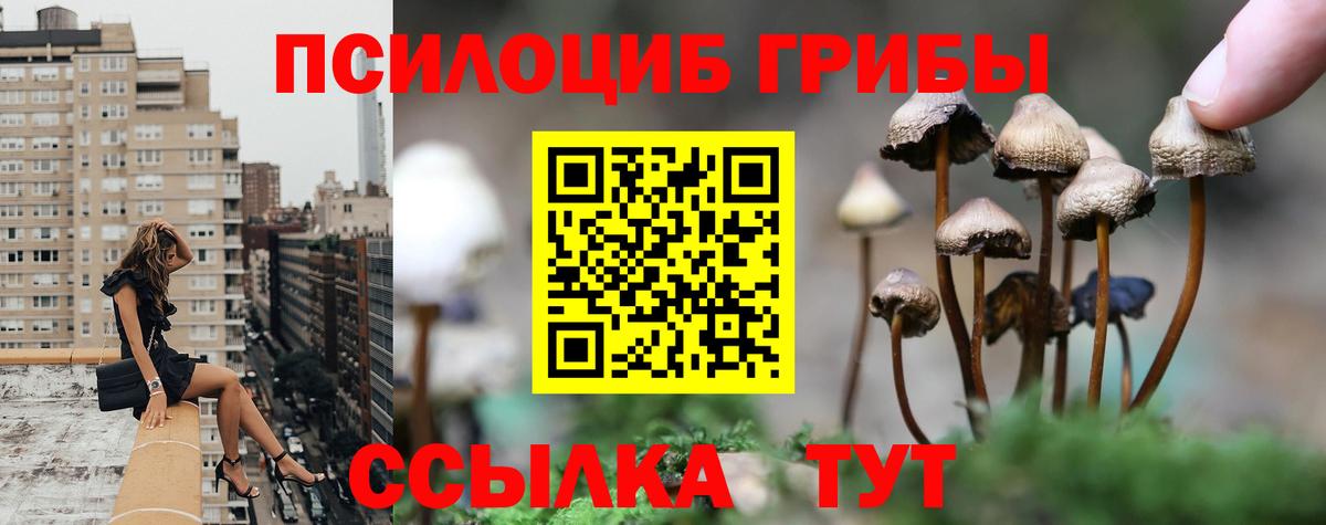 Псилоцибиновые грибы GOLDEN TEACHER Краснокамск
